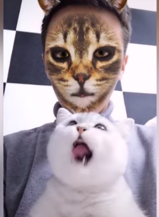 robot kast Lada Cats Freak Out When Their Humans Use The Cat Filter