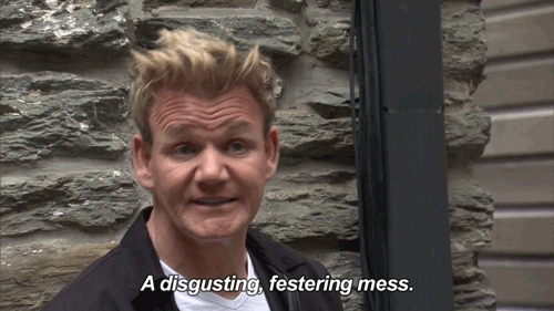 People Share Their Favorite Gordon Ramsay Insults For Everyday Use