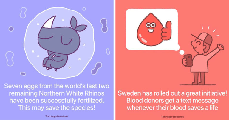 Instagram Artist Illustrates The Positive News Of 2019 (25 Cartoons)