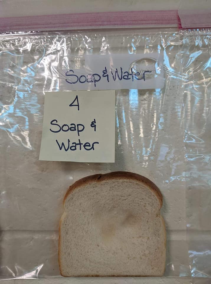 Teacher's Elementary School Moldy Bread Science Experiment Goes Viral