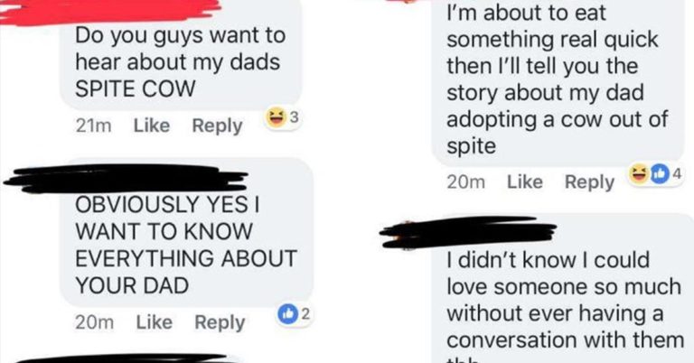 Tinder Match Tells Story Of How Her Dad Bought A Cow Just To Spite Her
