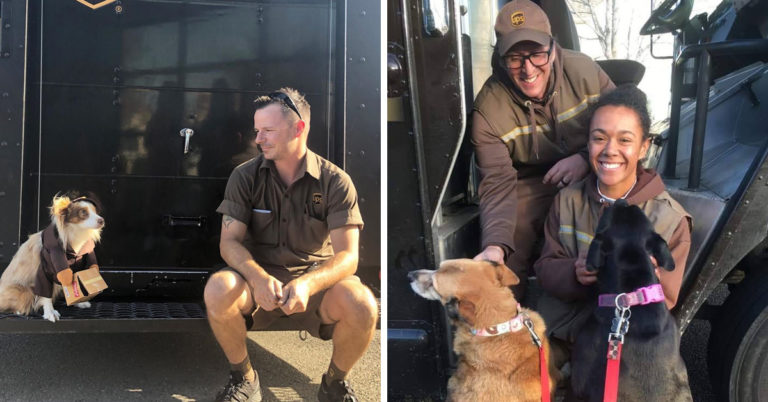 There’s A Secret Facebook Group Where UPS Drivers Share Pics Of All The Good Boys They Meet (25 Pics)