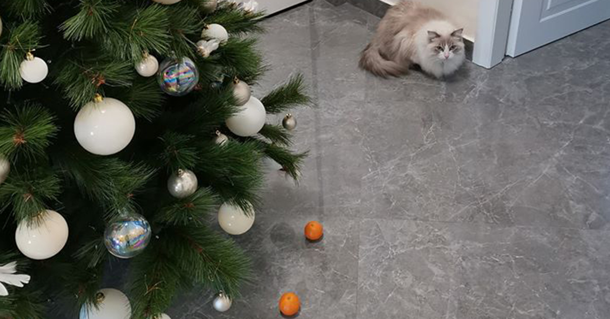 , cat christmas tree protector,