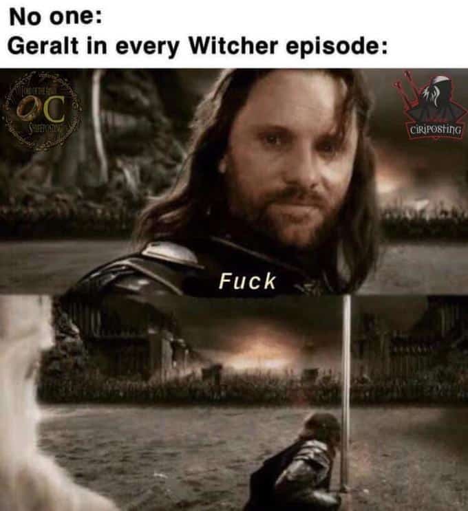 Toss A Meme To Your Witcher (37 "The Witcher" Memes)