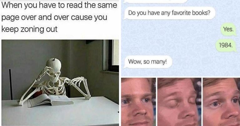 Reading Book Memes Should Count As Reading A Book (30 Memes)