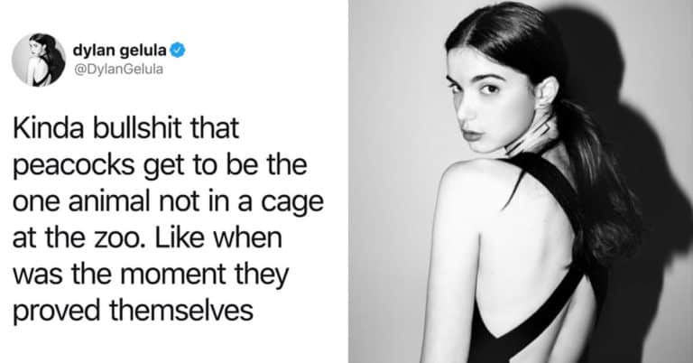 Afternoon Meme Dump (27 Memes)