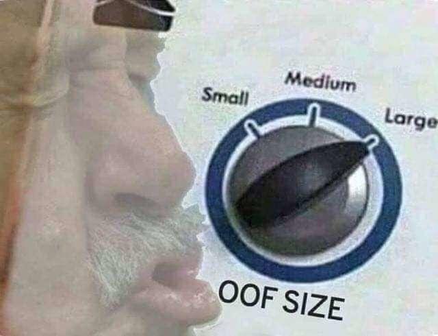 25 Of The Best And Funniest "Oof Size Large" Memes