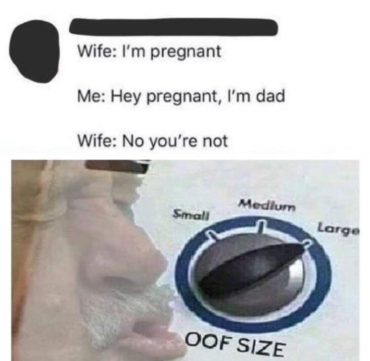 25 Of The Best And Funniest Oof Size Large Memes