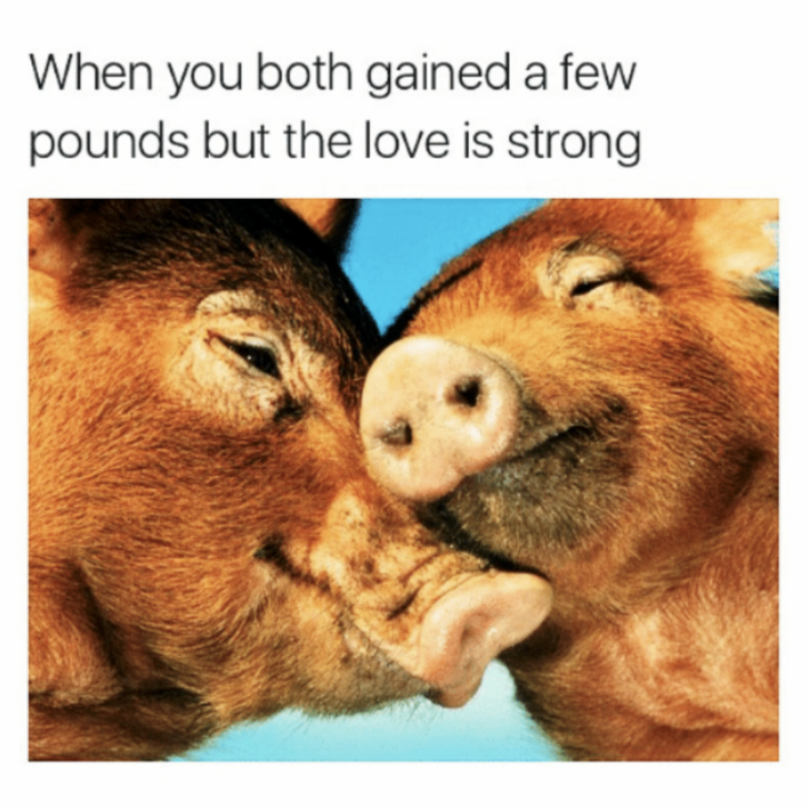 Wholesome Love Memes Are The New Valentines 34 Memes