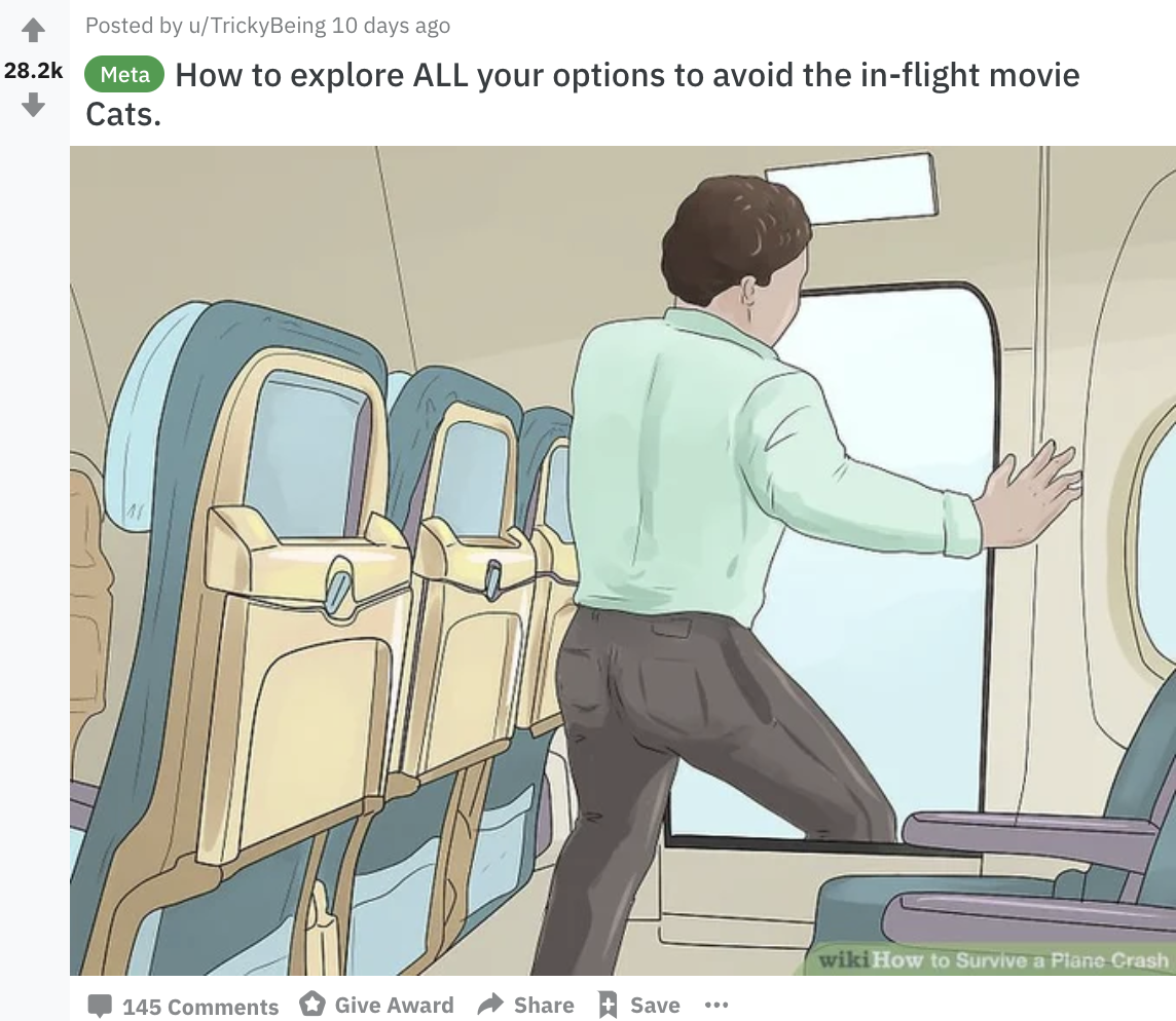 Wikihow Pictures