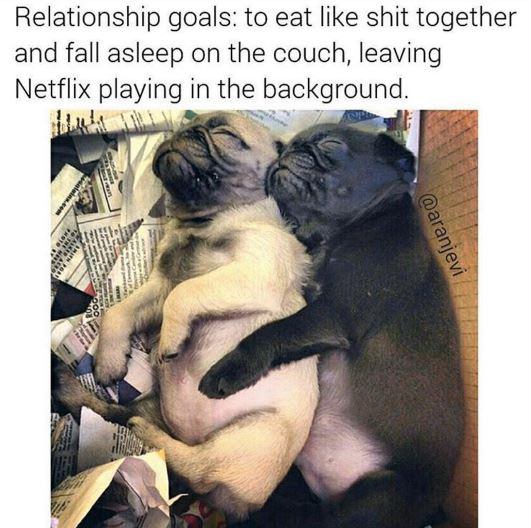 relationship goals love meme, funny cuddling dogs love meme, cuddling love meme, funny cuddling love meme