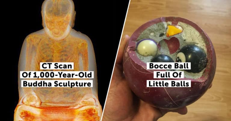 Oh, The Things People Find Inside Other Things (30 Pics)