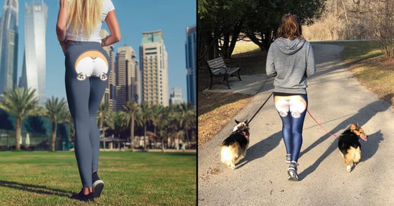 corgi butt leggings, corgi leggings