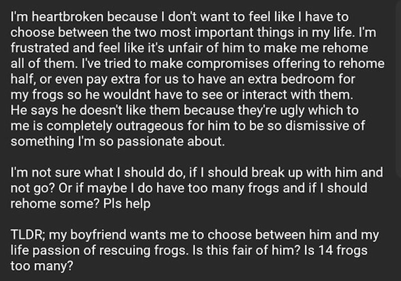 relationships frogs, reddit frogs, askreddit frogs 