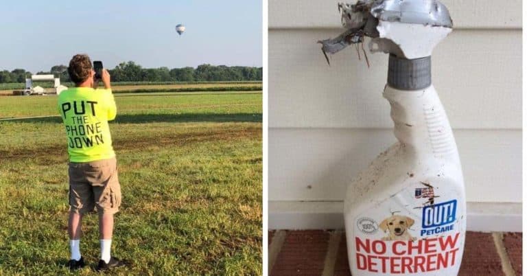 19 Funny Pictures That Are Irony At Its Ironical-est