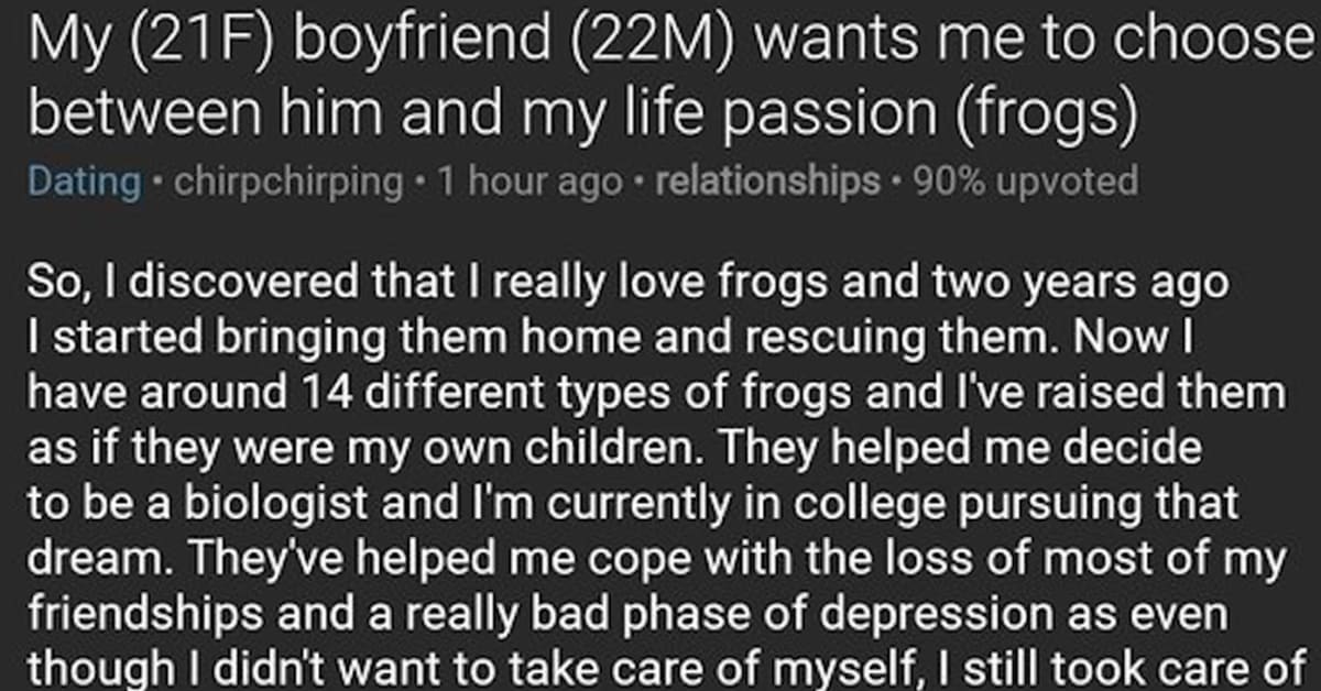 relationships frogs, reddit frogs, askreddit frogs