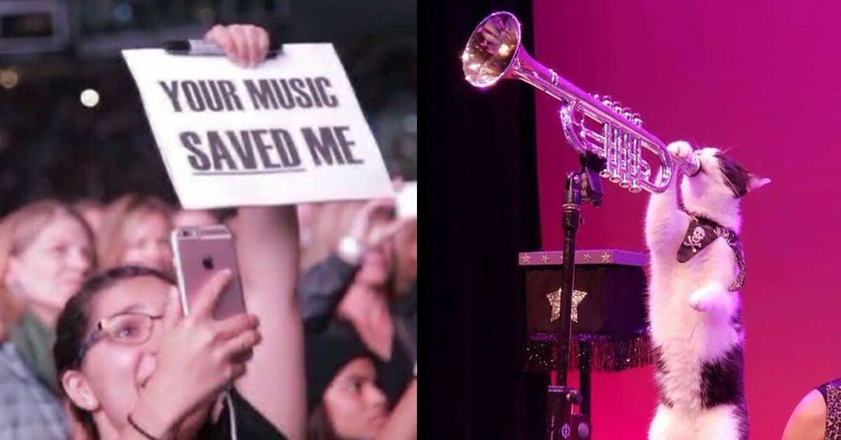 "Your Music Saved Me" Memes Are Taking Over Twitter, Here ...