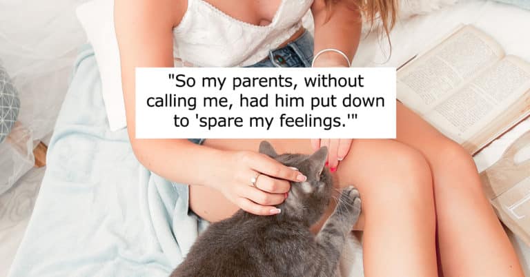 Redditor Wants To Know If They Should Forgive Their Parents For Putting Pet Cat Down Without Asking