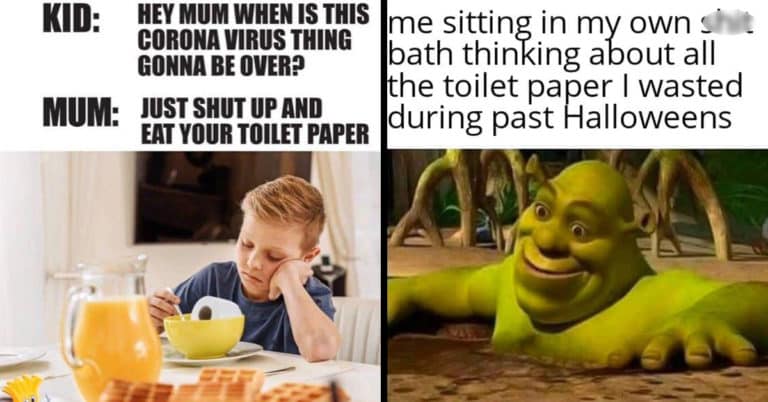 toilet paper memes, coronavirus toilet paper memes