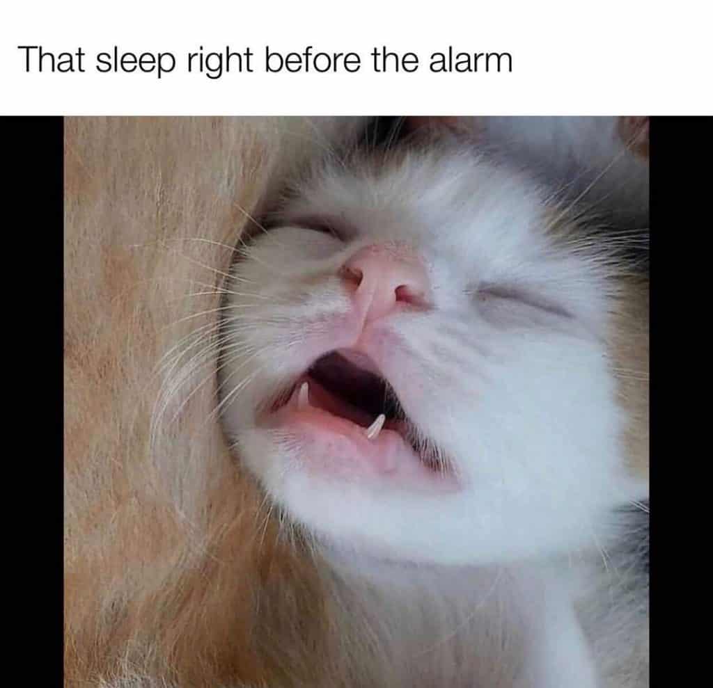 30 Funny Daylight Savings Memes To Get You Through The Time Change