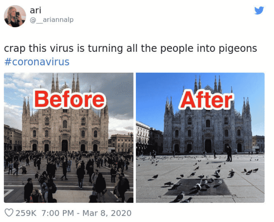 coronavirus-travel-memes-9.png