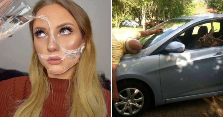 Morning Random Pic Dump (35 Pics)