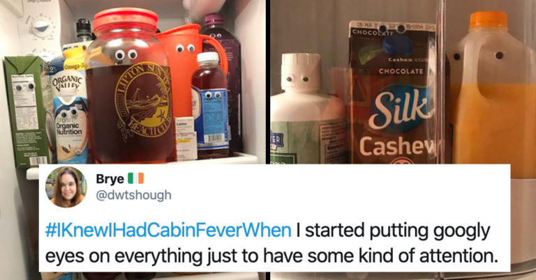 jimmy fallon cabin fever, jimmy fallon hashtags challenge cabin fever,