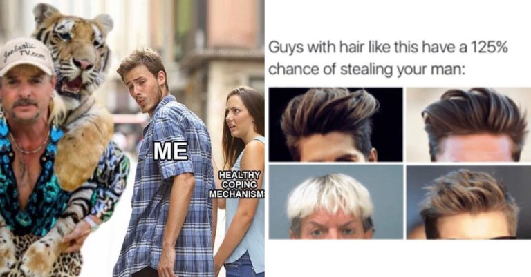 65 Of The Best Funny Tiger King Memes & Tweets