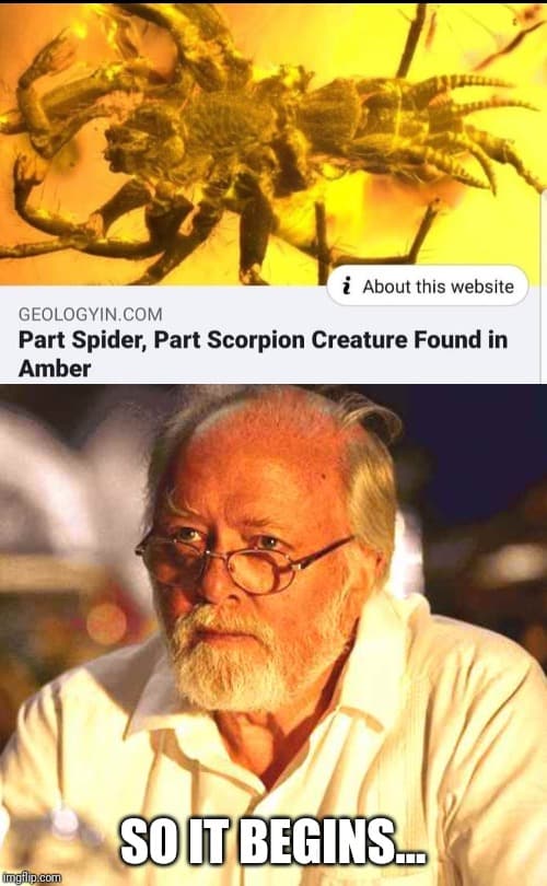 35 â€œJurassic Parkâ€  Memes Because Memes, Uhh, Find A Way