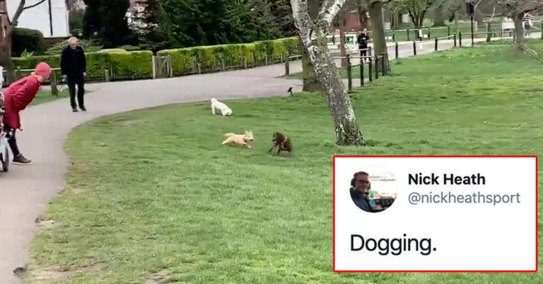 sports commentator regular life, .