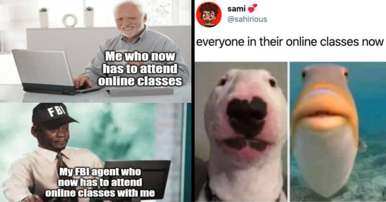 online classes memes, online class memes, zoom memes