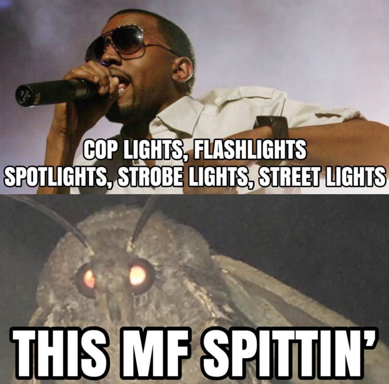 21 Of The Best "This MF Spittin'" Memes We Could Find