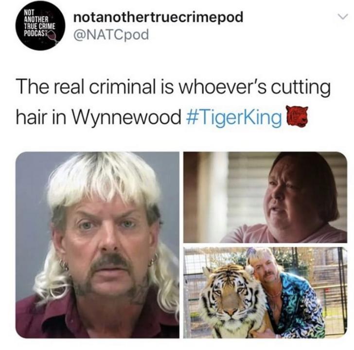 65 Of The Best Funny Tiger King Memes And Tweets 9008