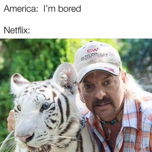 65 Of The Best Funny Tiger King Memes & Tweets