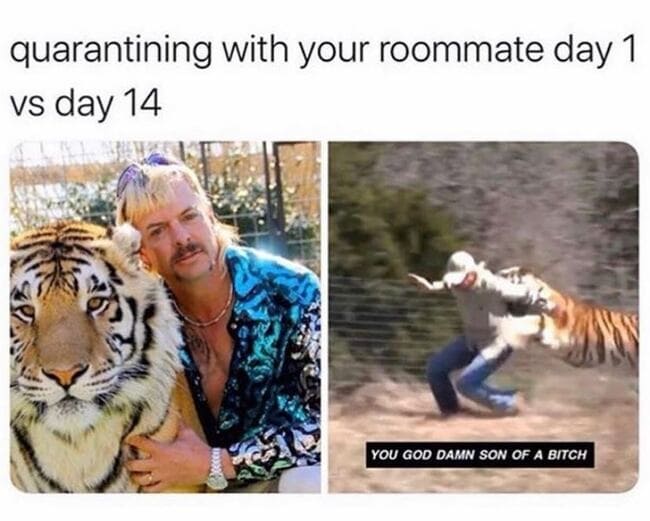 Of The Best Funny Tiger King Memes Tweets