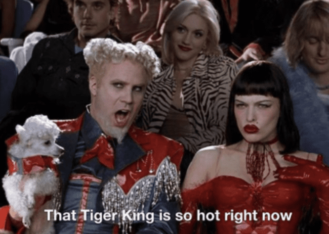 65 Of The Best Funny Tiger King Memes And Tweets