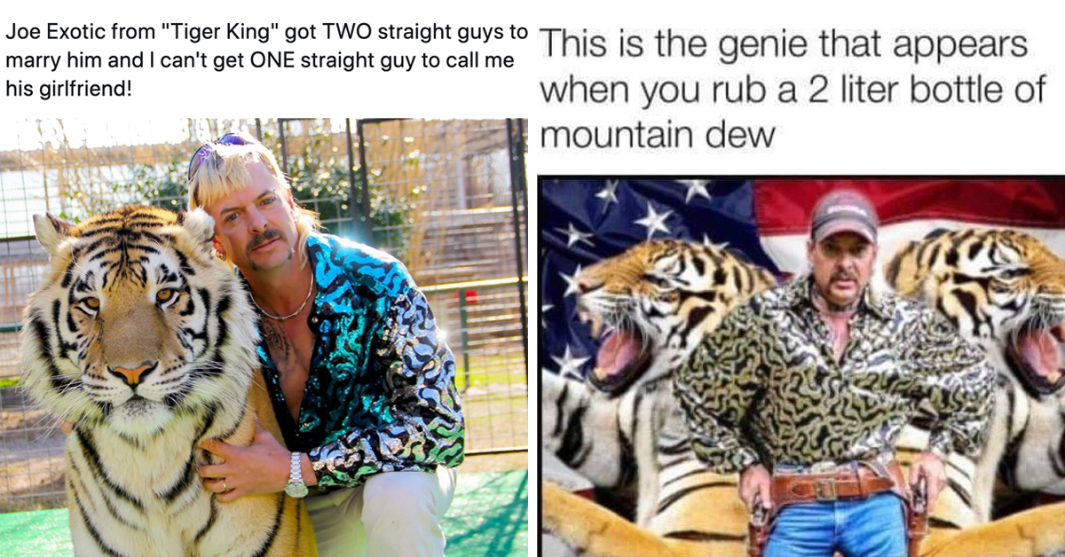 Tiger King Memes & Tweets That Are As Funny As The Show Is Insane ...