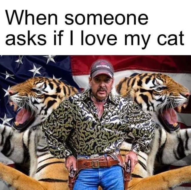 tiger king memes, joe exotic memes, netflic tiger king memes, funny tiger king memes, best tiger king memes, memes about tiger king, funny tweets tiger king