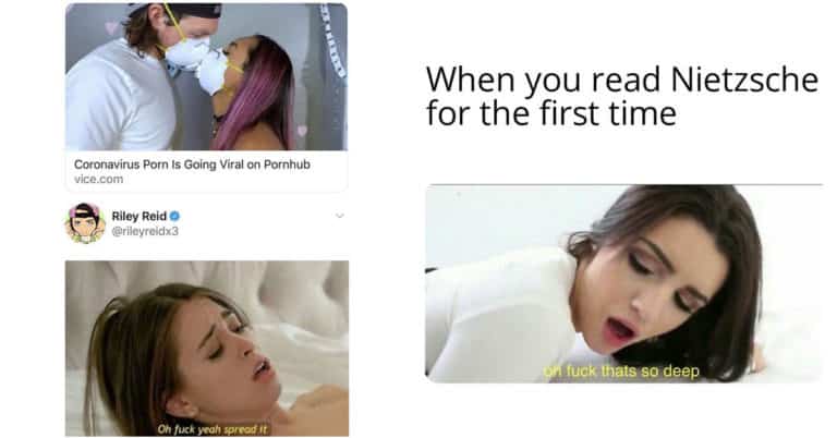 Sure These Memes Are Unwholesome, But They’re Also Not Wholesome (23 Pics)