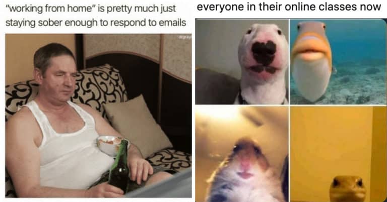 Working From Home Is Both A Dream And A Nightmare (35 Memes)