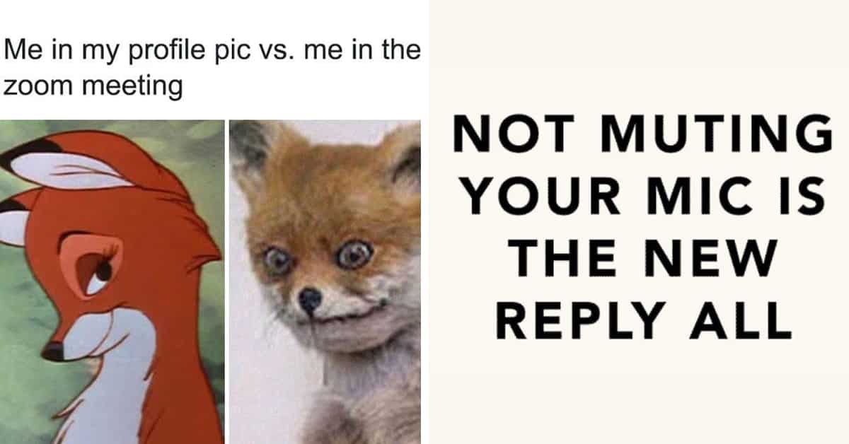 30 Funny Zoom Memes & Jokes To Laugh At While Your Mic Is Muted