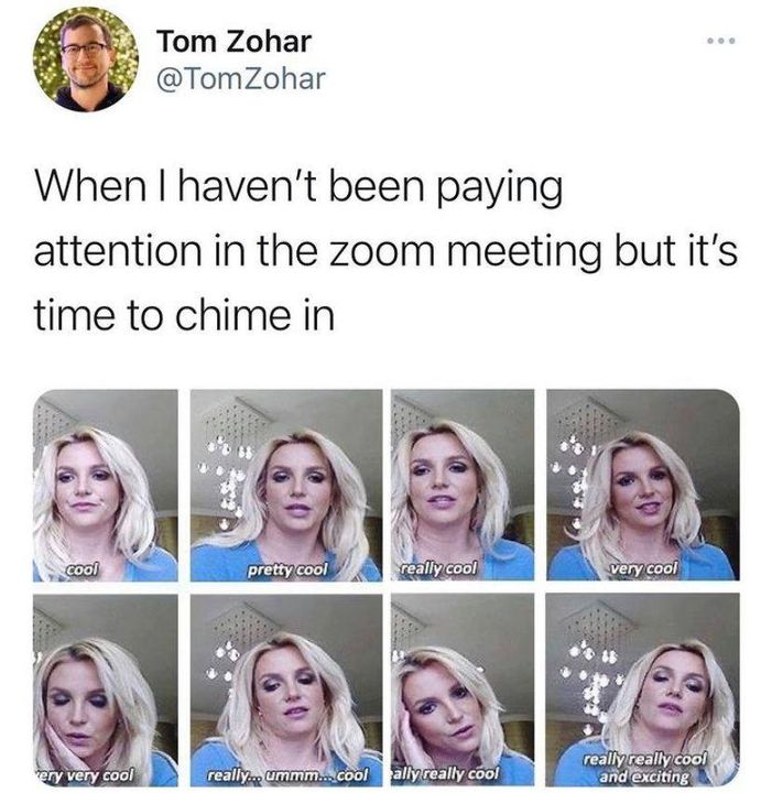 zoom meme - cool not paying attention