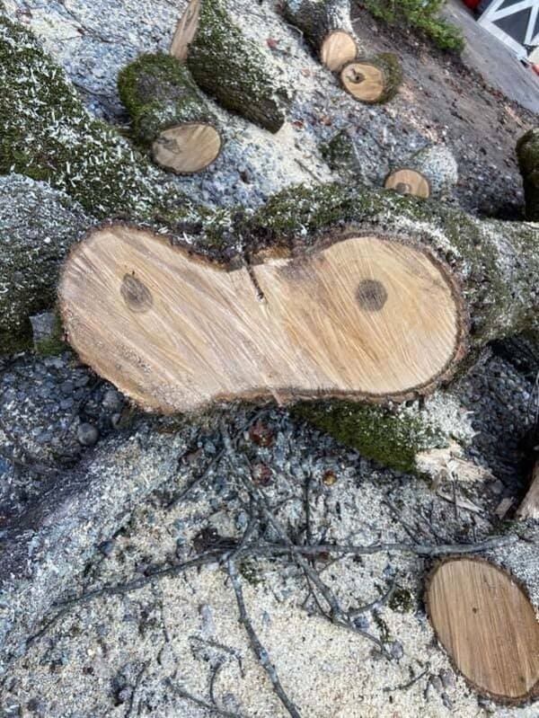 piece of cut wood that potentially looks like breasts funny picture