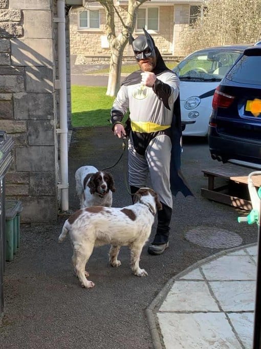 costumes quarantine, guy wears costumes to walk dog