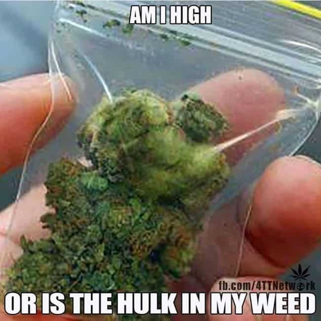 69 Of The Funniest 420 Memes For People Who Snort The Marijuanas