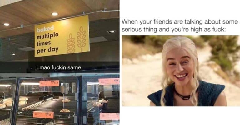 Dude, Just Act Natural And Enjoy These 420 Memes (69 Memes, Obviously)