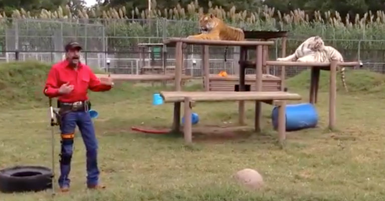 joe exotic n word, joe exotic n word video