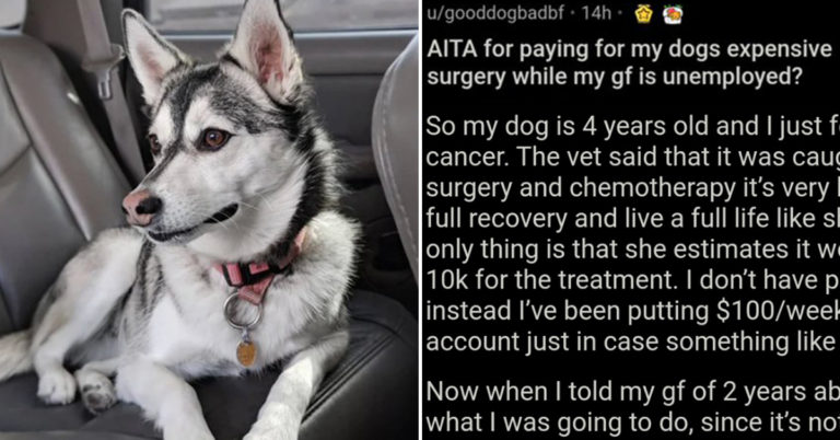 Man Argues With GF Over Spending 10K On Dog When She’s Unemployed, Asks If He’s Wrong