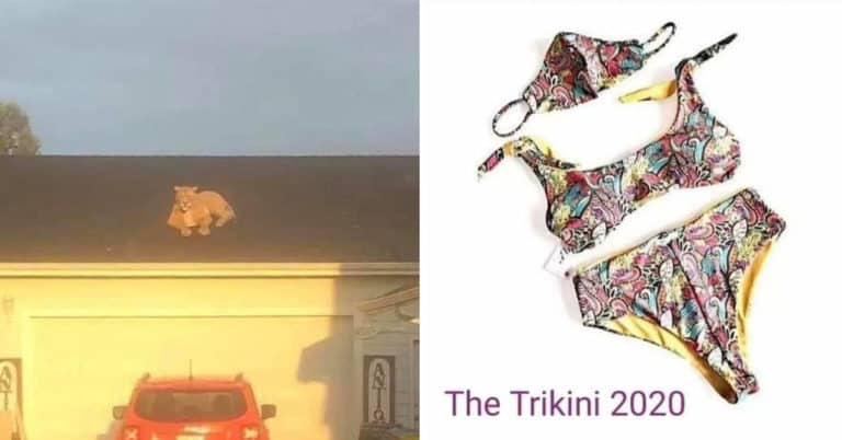 Morning Random Pic Dump (35 Pics)