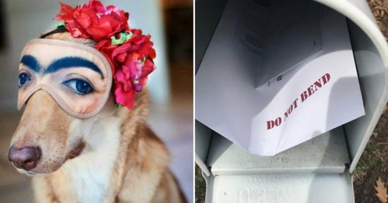 Morning Random Pic Dump (35 Pics)